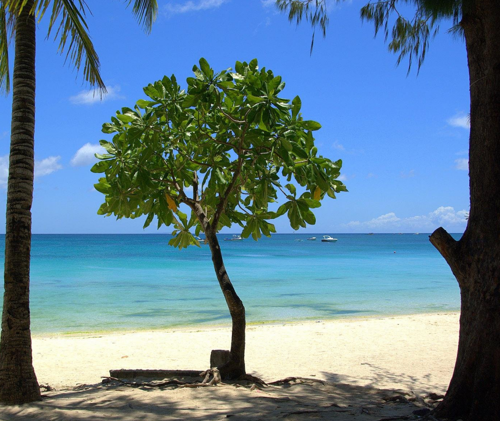 République Dominicaine plage