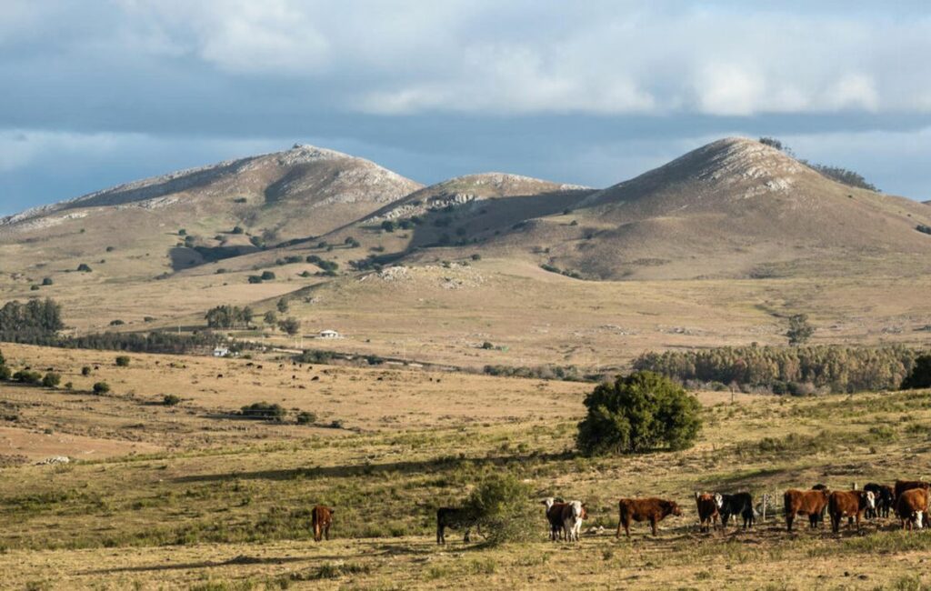 Uruguay quand partir