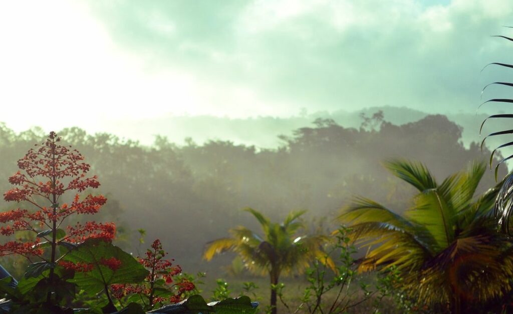 Guyane saison des pluies