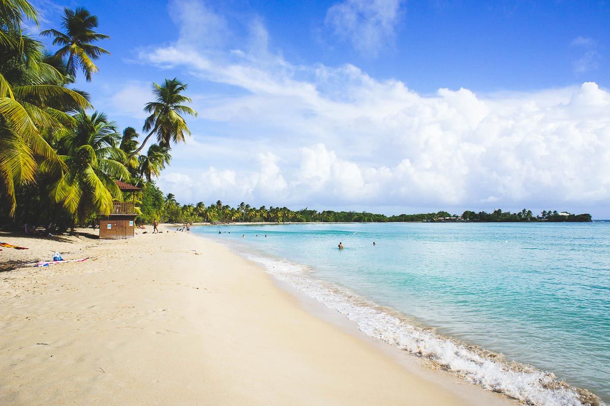 Des îles des Caraïbes comme la Martinique