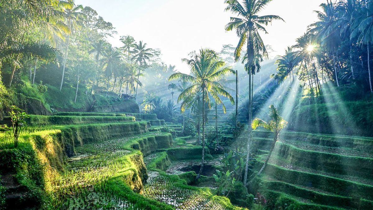 Organiser Un Voyage Bali Nos Conseils Pour Une Aventure Inoubliable